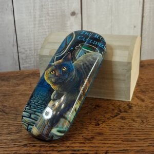 A hard shell glasses case featuring the 'Rusty Cauldron' artwork by popular artist Lisa Parker